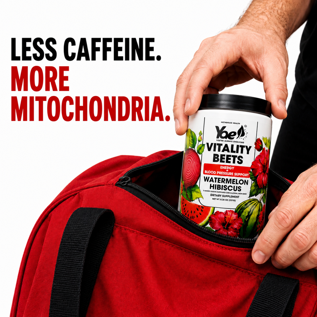 What Are Mitochondria, Your Body's Powder Plants, Why They Matter