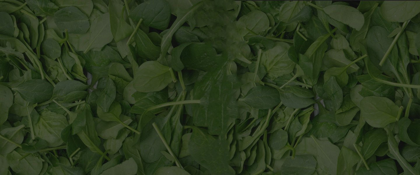 Iron+PH Balance- Baby Spinach Juice Powder